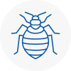 Bed Bug Extermination In Tadley